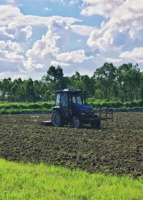 Budidaya farmland